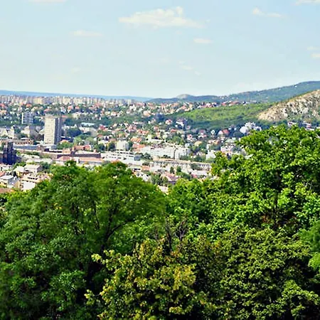 Charm Of The Buda Hills *